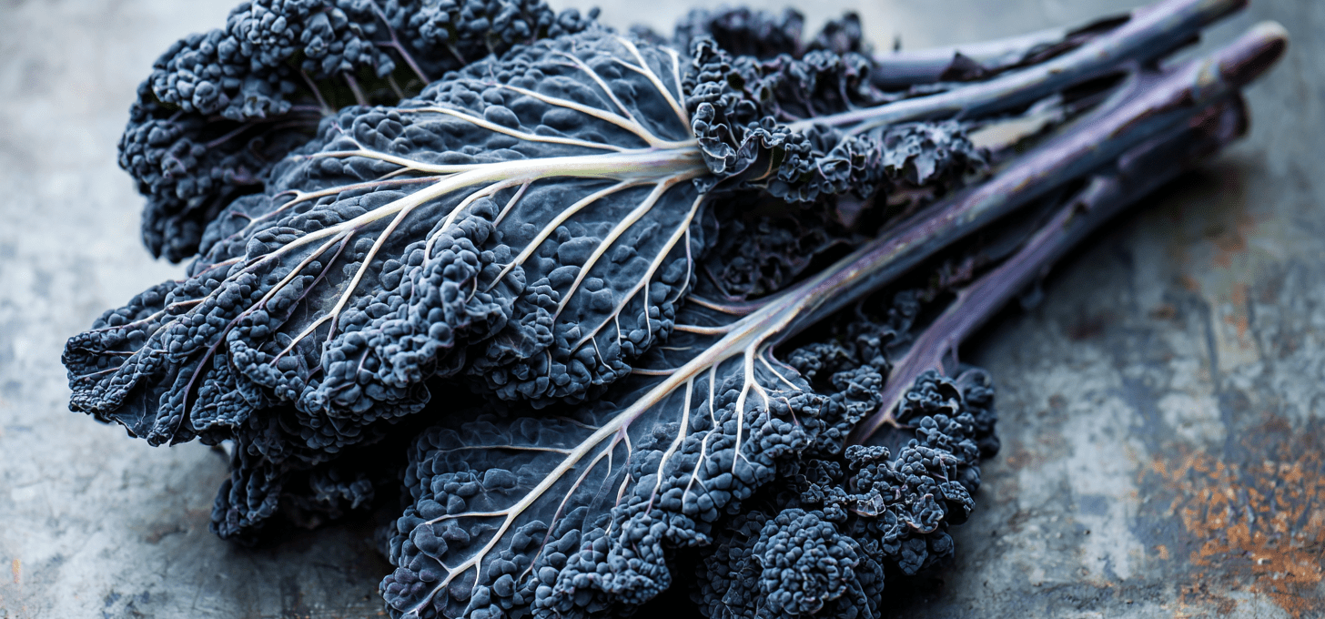 Black Magic Kale: Dark-Leaf Culinary Cultivar