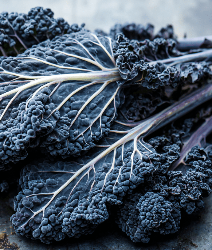Black Magic Kale: Dark-Leaf Culinary Cultivar