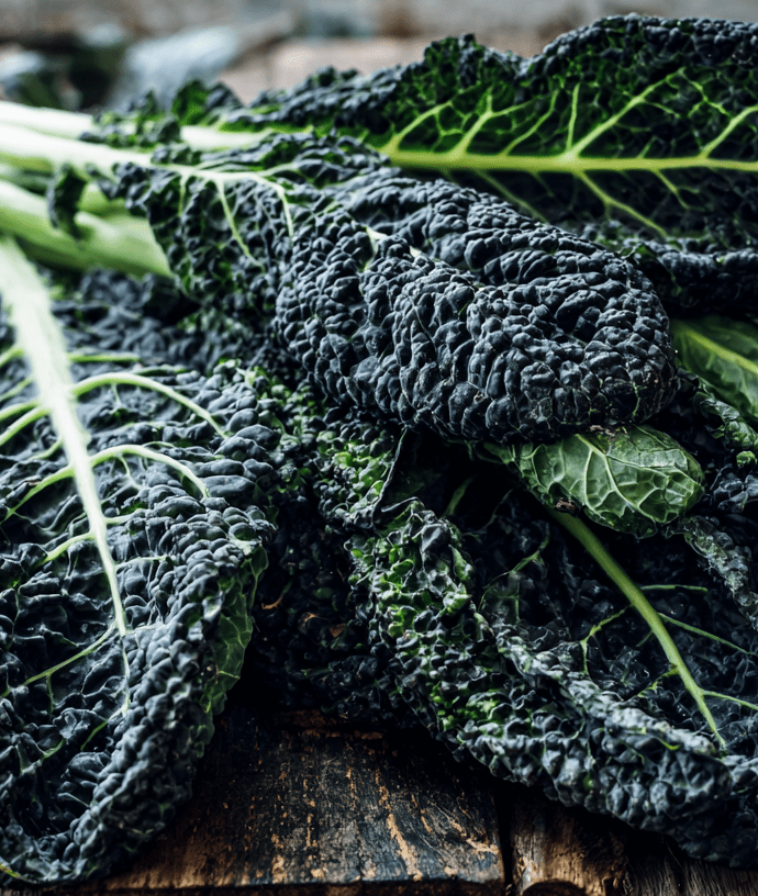 Cavolo Nero: True Tuscan Heirloom Kale