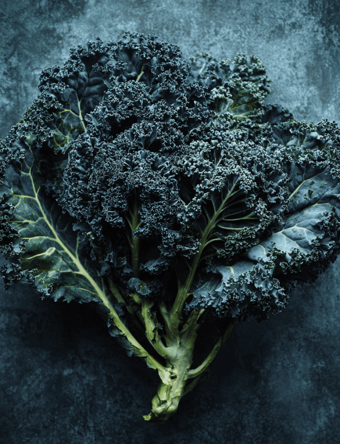Darkibor: Deep-Green Curly Kale with Exceptional Winter Structure