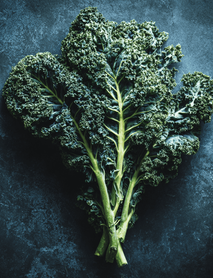 Green Curled Scotch: The Classic Heirloom Kale of Northern Climates