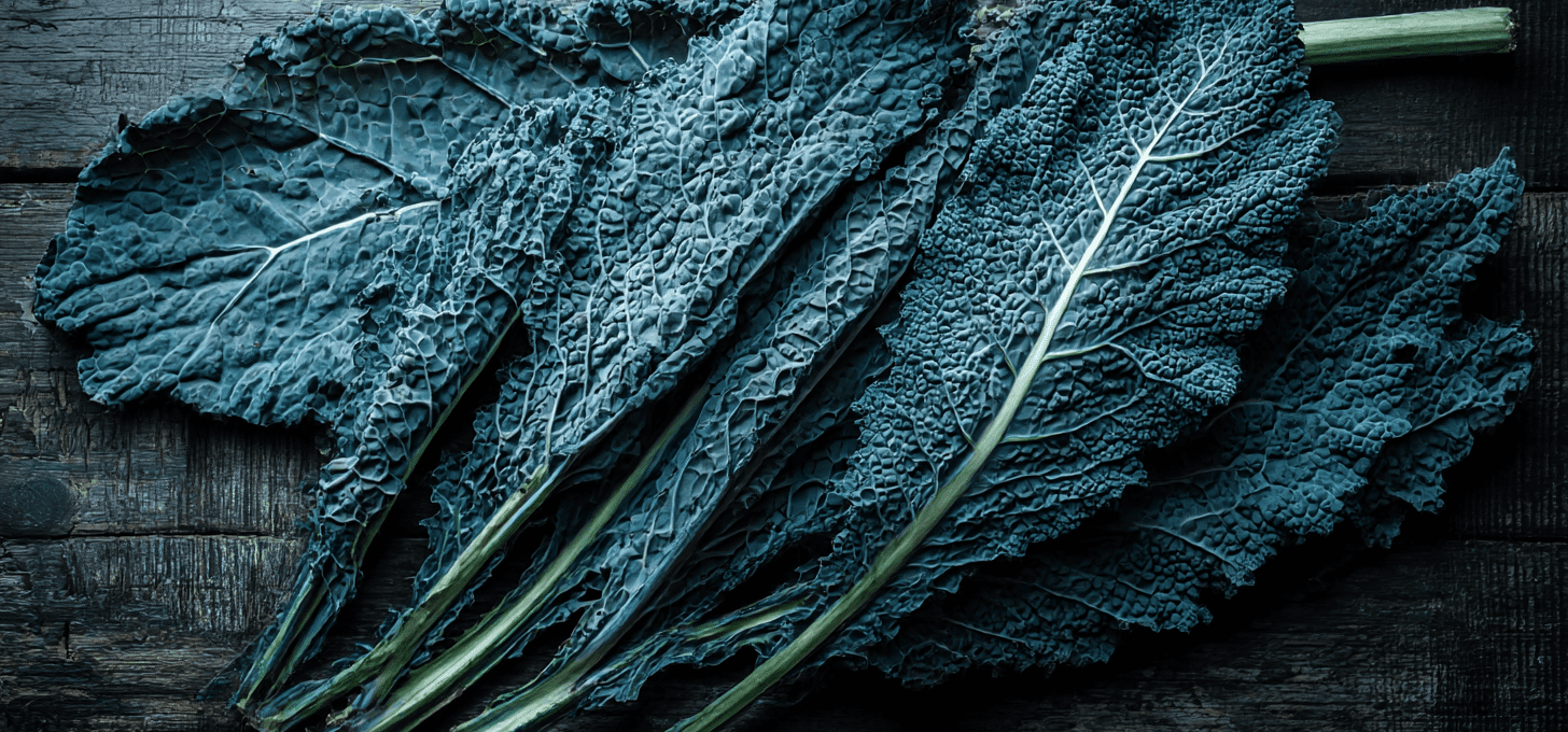 Lacinato / Nero di Toscana