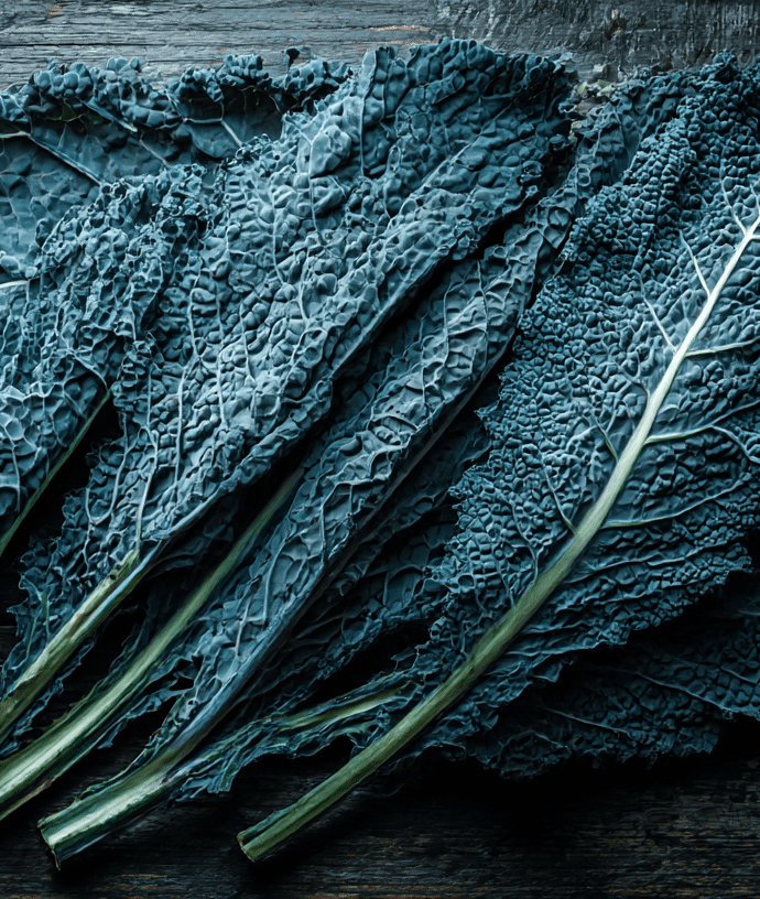 Lacinato / Nero di Toscana