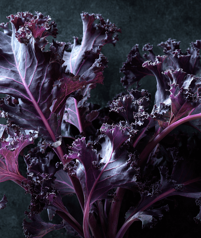 Redbor is kale with presence: visually bold, culinarily versatile, and winter-enhanced in both flavor and color.