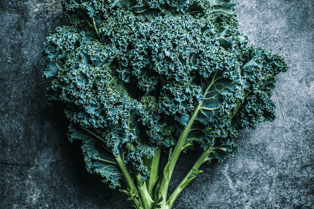 Starbor: Uniform Curly Kale for High-Yield Winter Production