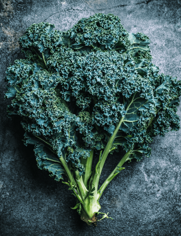 Starbor: Uniform Curly Kale for High-Yield Winter Production