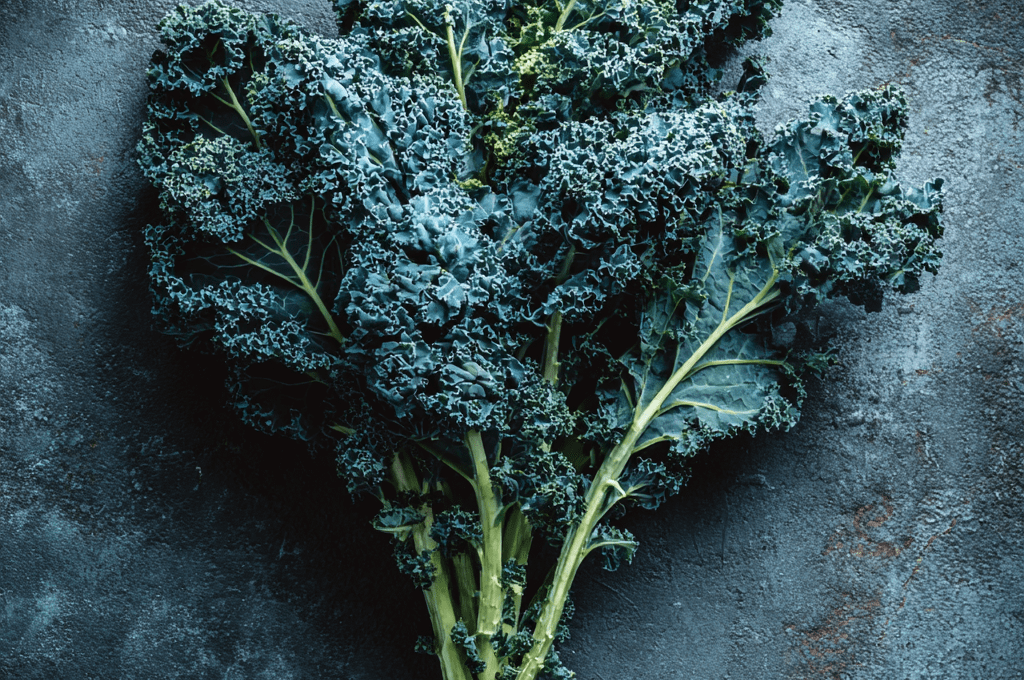 Winterbor: The Frost-Sweet Curly Kale Built for Deep Winter