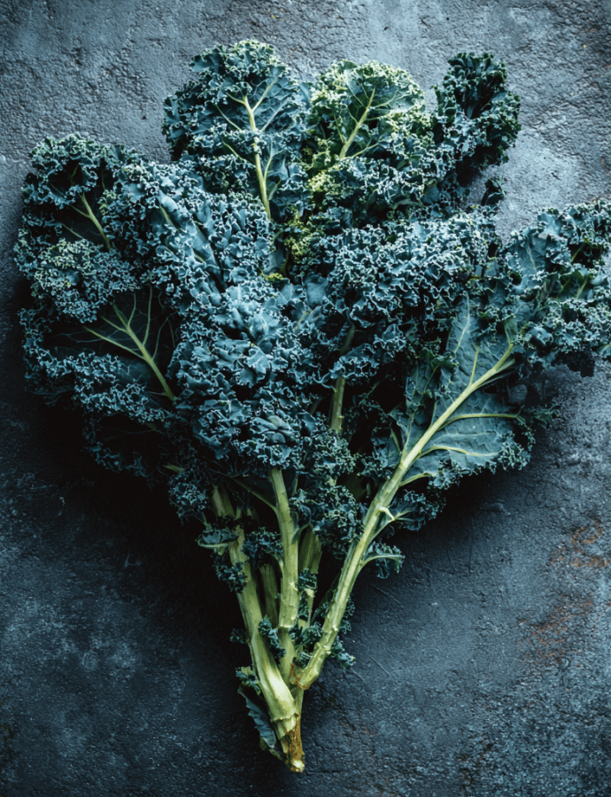 Winterbor: The Frost-Sweet Curly Kale Built for Deep Winter