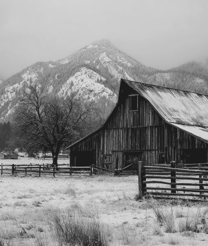 What’s Actually in Season Right Now in the Pacific Northwest (And Why It Matters for Your Kitchen)