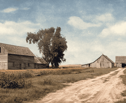 The Complete Guide to Ancient Grains: History, Nutrition, and Modern Culinary Use