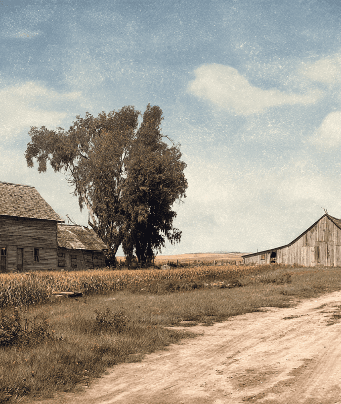 The Complete Guide to Ancient Grains: History, Nutrition, and Modern Culinary Use